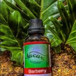 PHOTO-2024-03-04-16-43-19 2