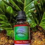 PHOTO-2024-03-04-16-43-20 3