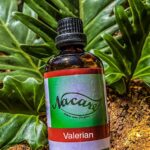 PHOTO-2024-03-04-16-50-18 2