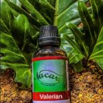 PHOTO-2024-03-04-16-50-23 2