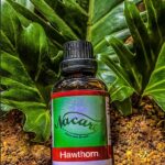 PHOTO-2024-03-04-16-50-45 2