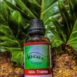 PHOTO-2024-03-04-16-50-47 2